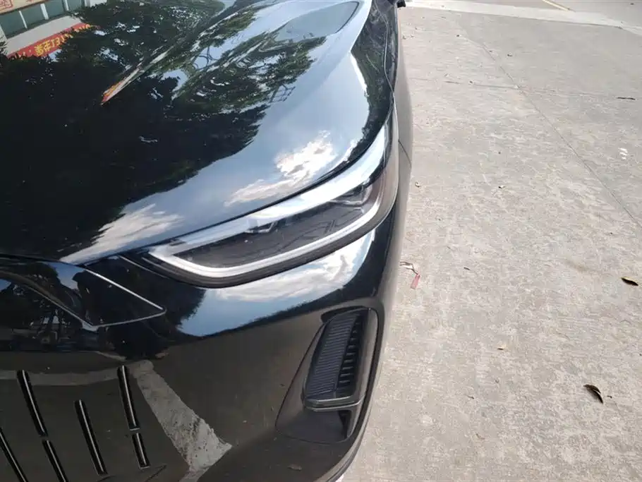 Fengyun T9 120 Long Range Flagship 7-seat Ternary Lithium