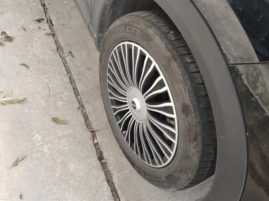 Fengyun T9 120 Long Range Flagship 7-seat Ternary Lithium