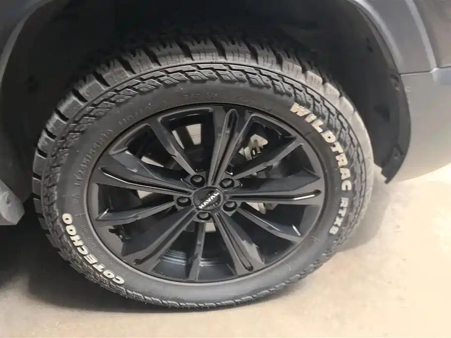 Haval Menglong NEV Hi4 102 Explorer