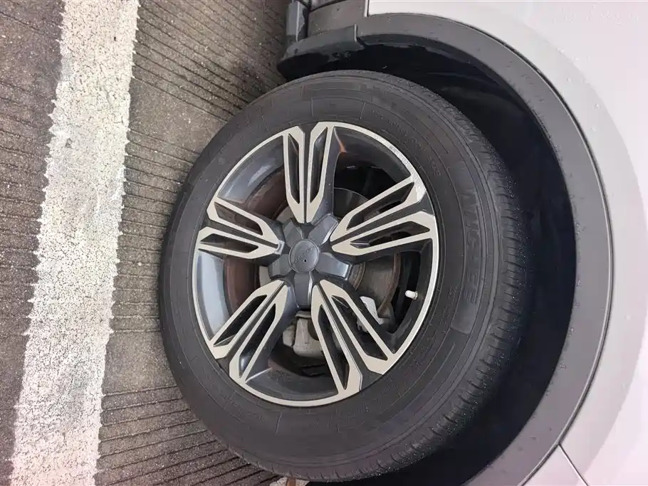 Leopaard CS10 1.5 T CVT Distinguished