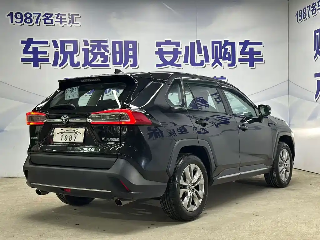 Wildlander 2.0 L CVT 4 WD Luxury