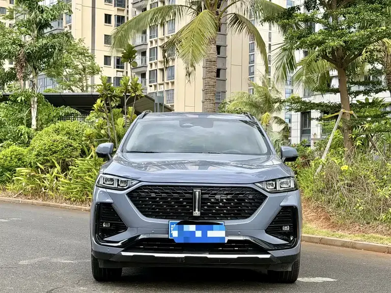 WEY Latte DHT 魏牌 拿铁DHT 2022款 1.5 T DHT大杯