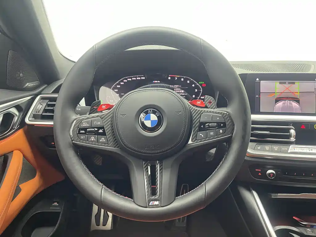 BMW M4 M4 2-door Coupe Thunder