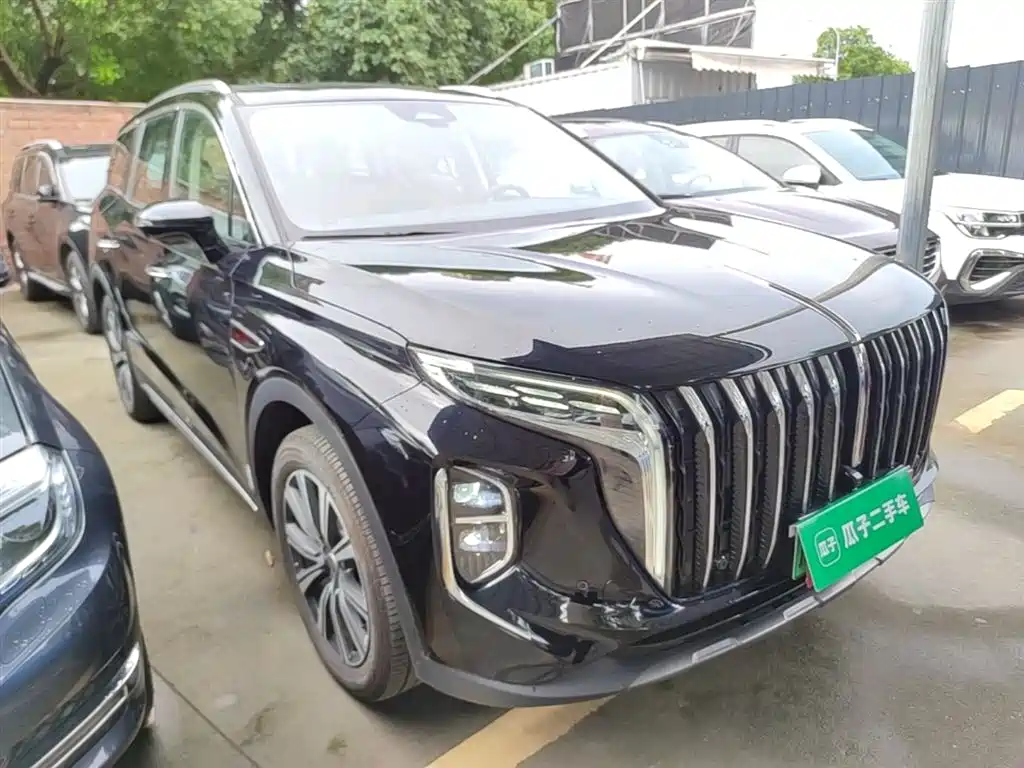Hongqi HS7 PHEV 红旗HS7 PHEV 2025款 2.0 T PHEV 四驱200万辆纪念版 6座