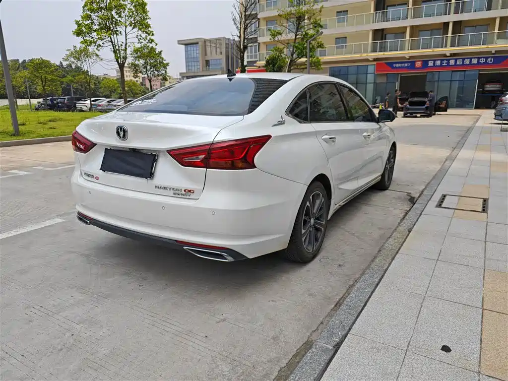 Ruicheng CC Blue Whale 1.5 T DCT Luxury