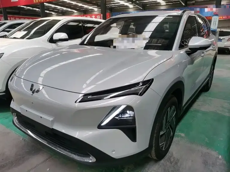 Wuling Starlight S 130 km Flagship