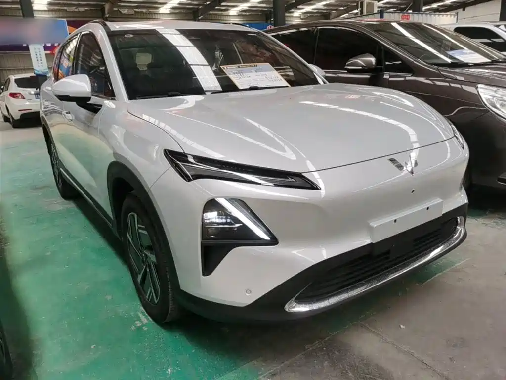 Wuling Starlight S 130 km Flagship