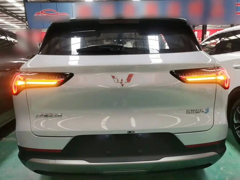 Wuling Starlight S 130 km Flagship