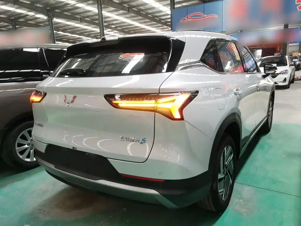 Wuling Starlight S 130 km Flagship