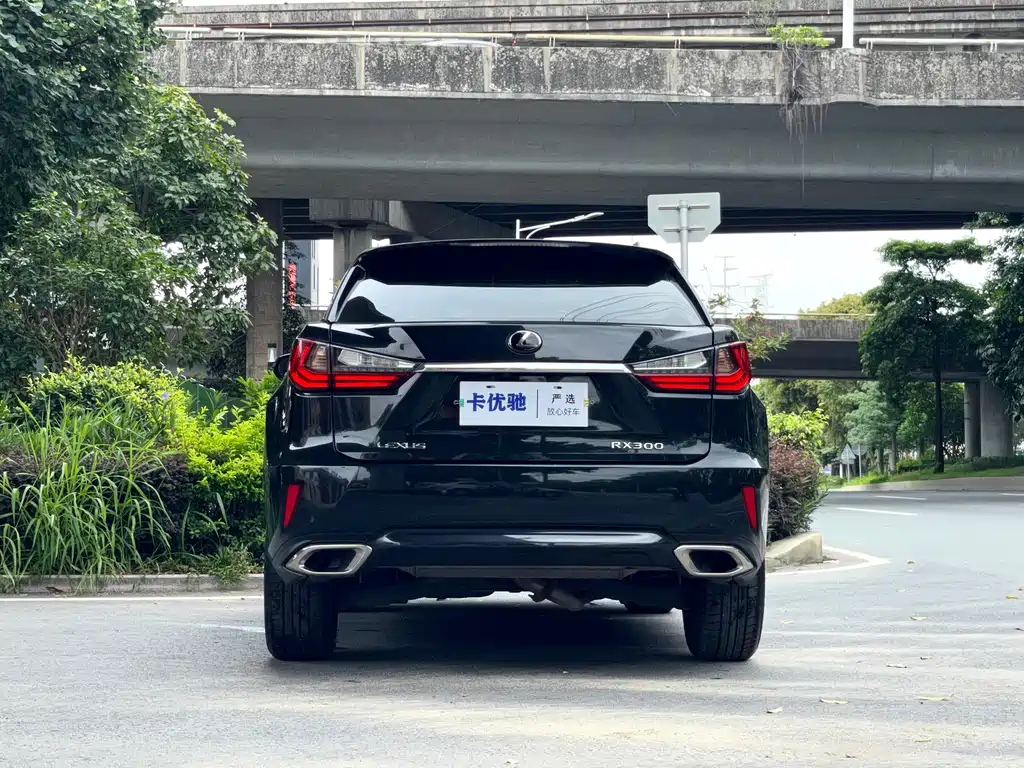Lexus RX 300 2 WD Comfort CN-V