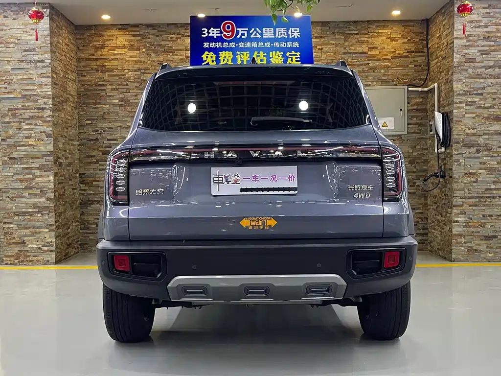 Haval Dargo 2.0 T DCT Brilliance Country Dog
