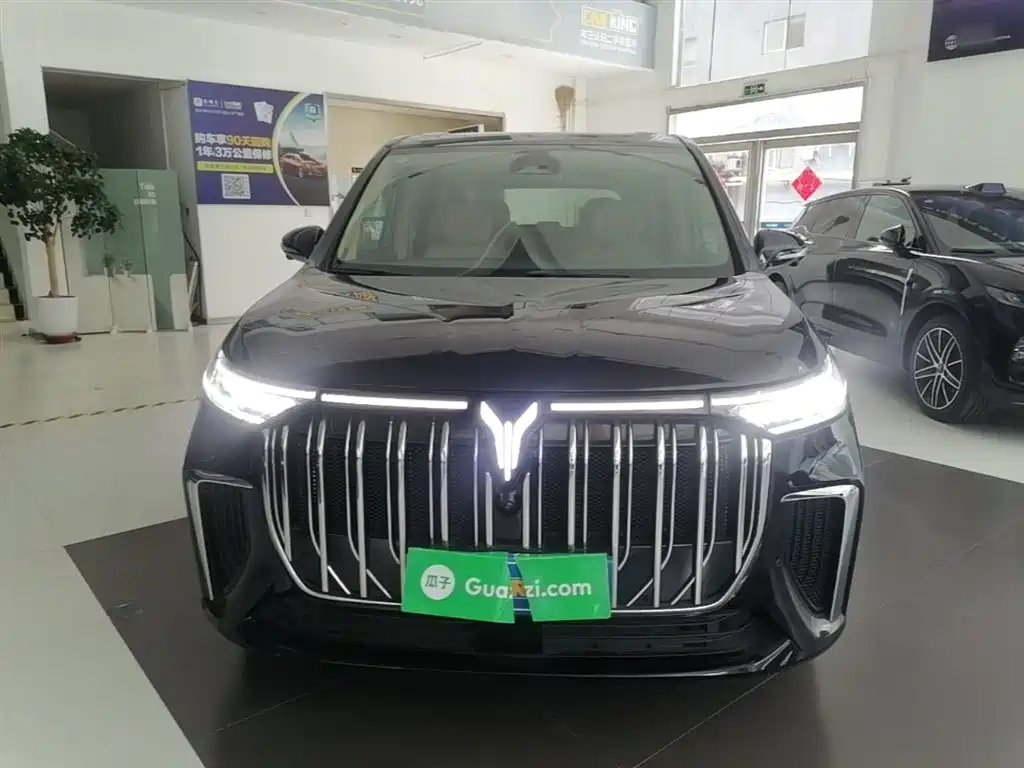 Voyah Dreamer PHEV Ultra Long Range Flagship