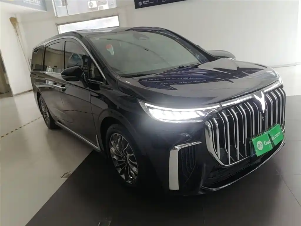 Voyah Dreamer PHEV Ultra Long Range Flagship