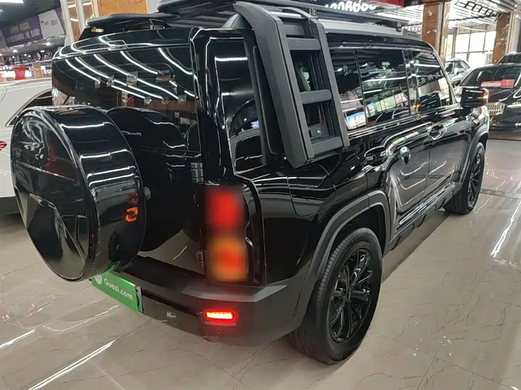 Haval Menglong NEV Hi4 102 Pro