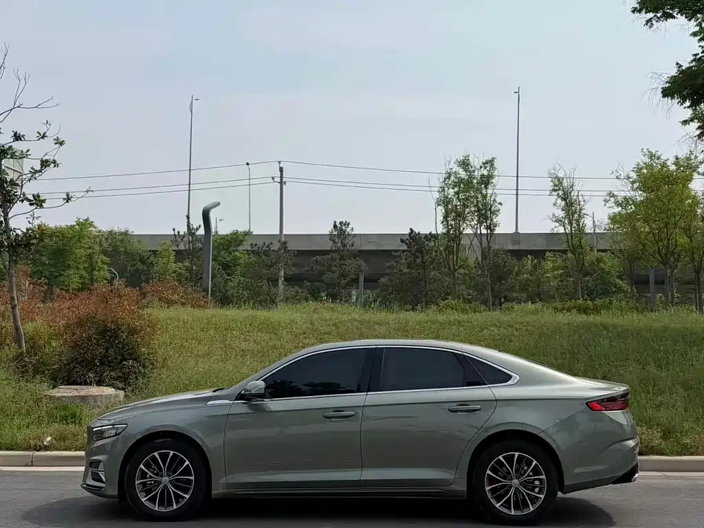 Xingrui Oriental Shine 1.5 TD Swan