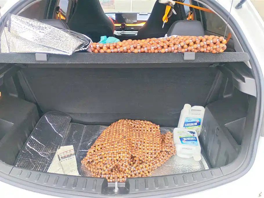 Ruilan X3 PRO 1.5 L CVT Mini