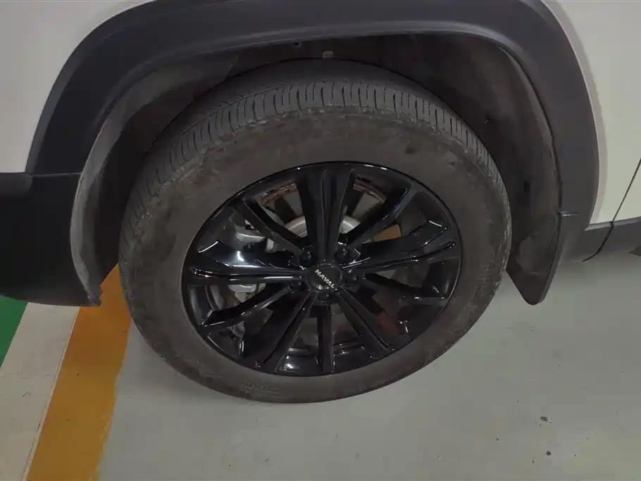 Haval Menglong NEV Hi4 145 Explorer