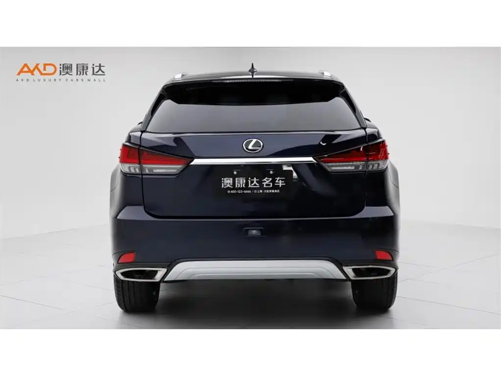 Lexus RX 300 4 WD Elegant CN-VI