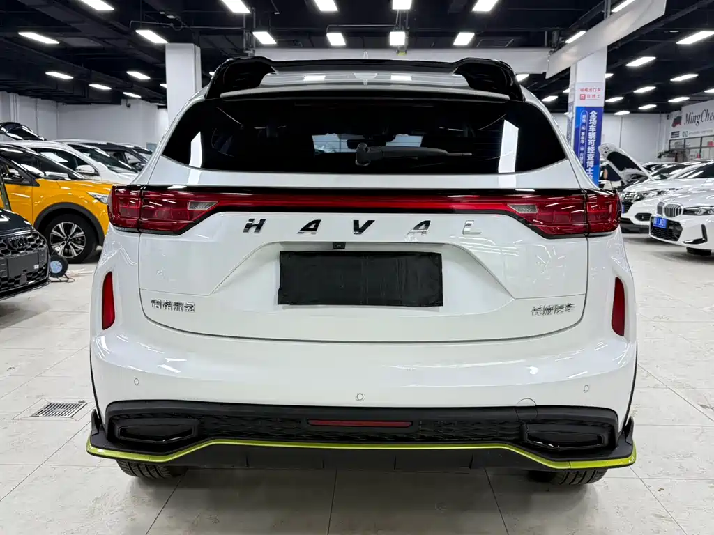 Haval Chitu Power Enjoyment 1.5 T Bronze Rabbit