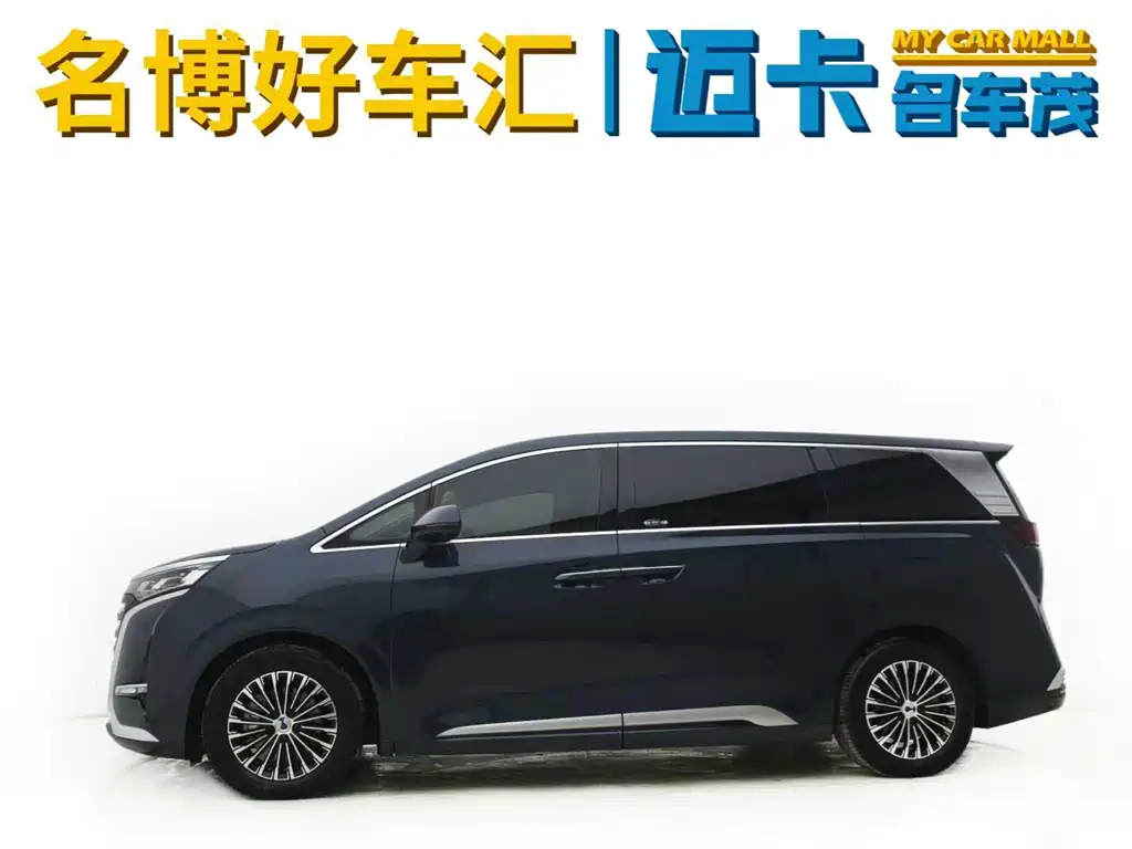 Denza D9 DM-i 970 4 WD Flagship