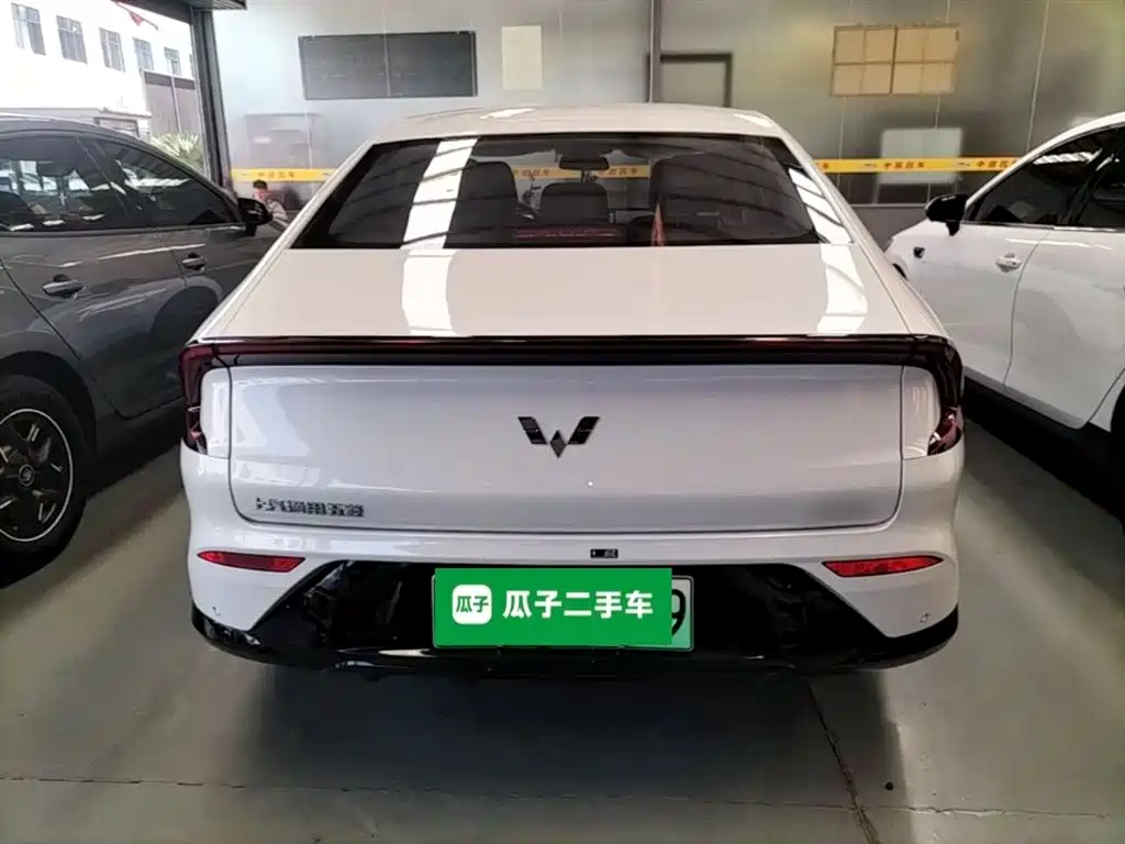 Wuling Starlight 70 km Intelligent Standard