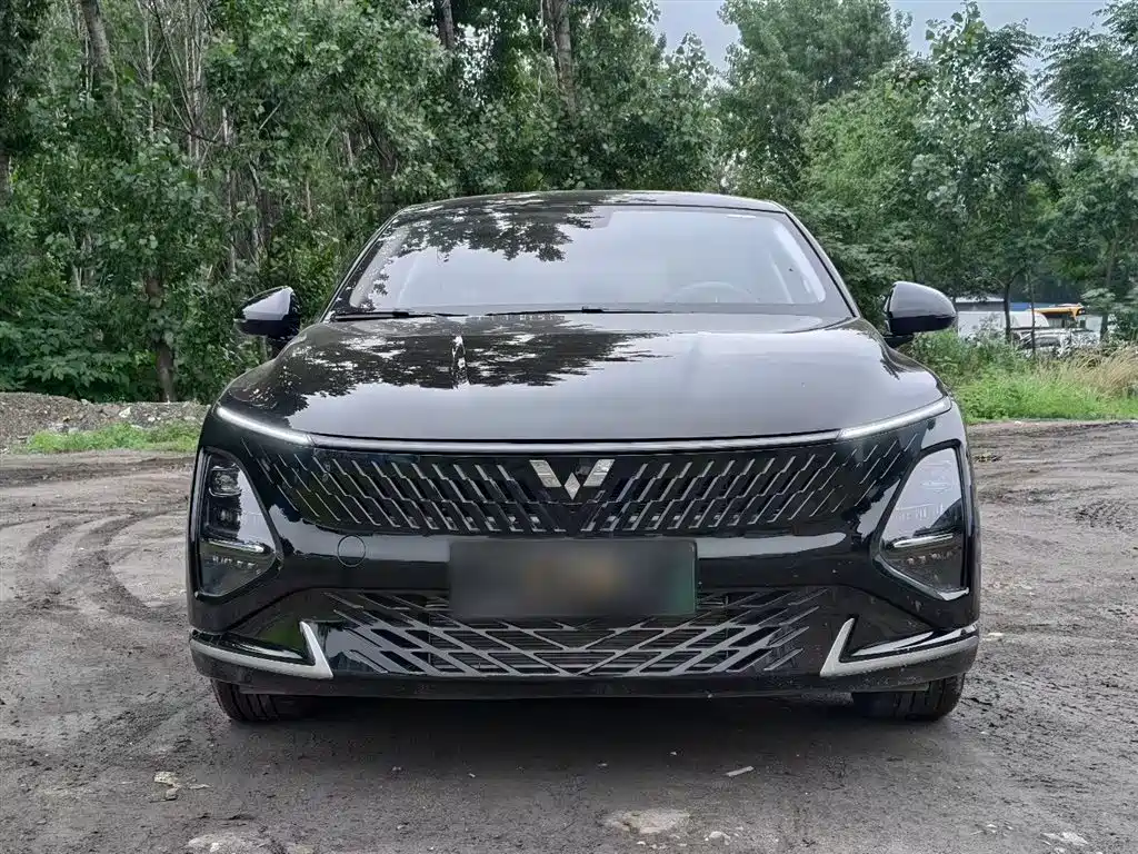 Wuling Starlight 70 km Intelligent Standard