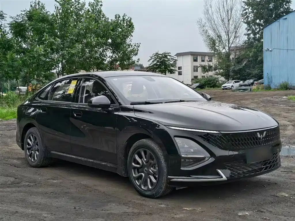 Wuling Starlight 70 km Intelligent Standard