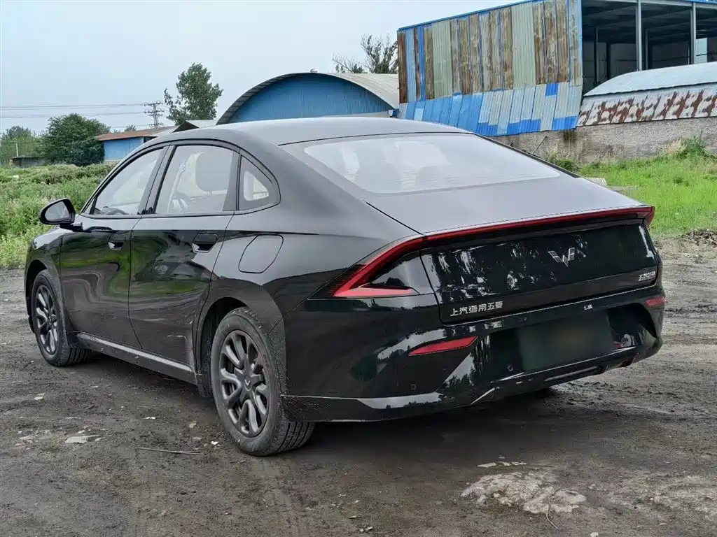 Wuling Starlight 70 km Intelligent Standard
