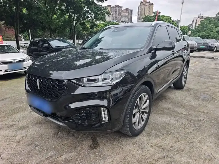 WEY VV6 魏牌 VV6 2019款 2.0 T 两驱旗舰型 国VI