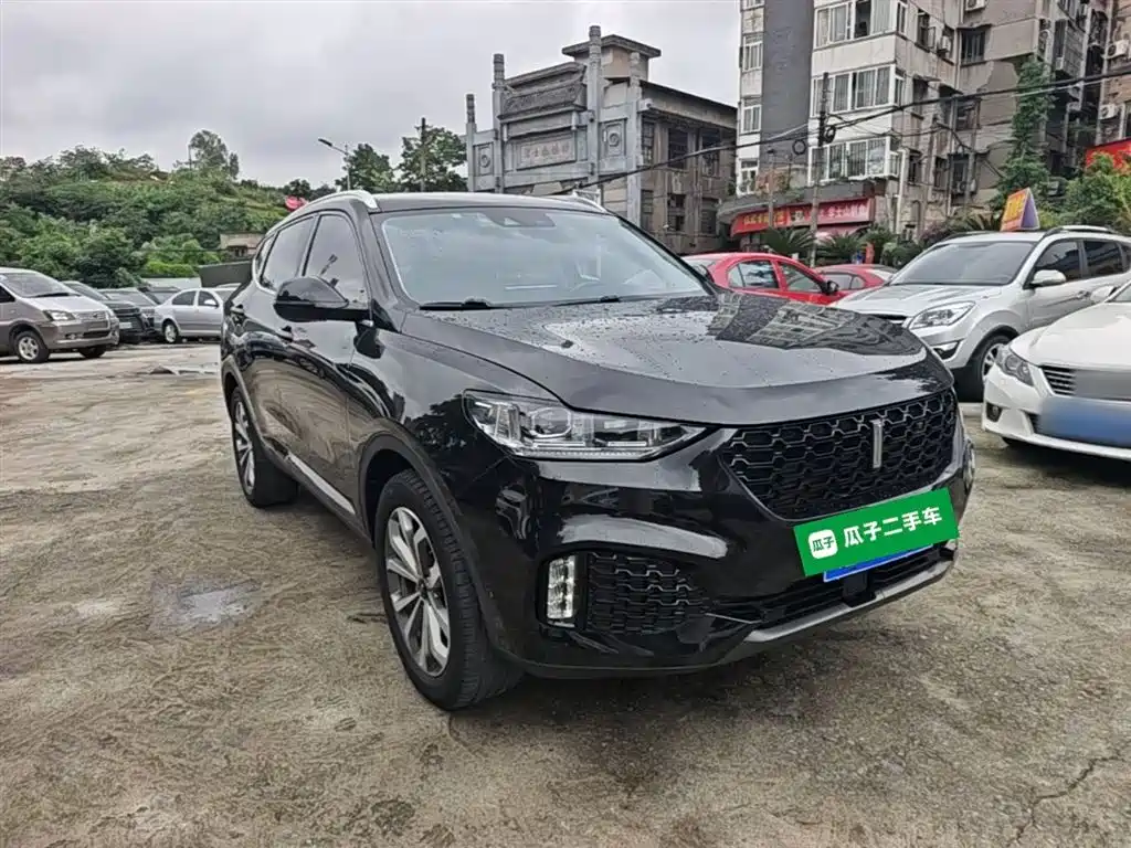 WEY VV6 魏牌 VV6 2019款 2.0 T 两驱旗舰型 国VI
