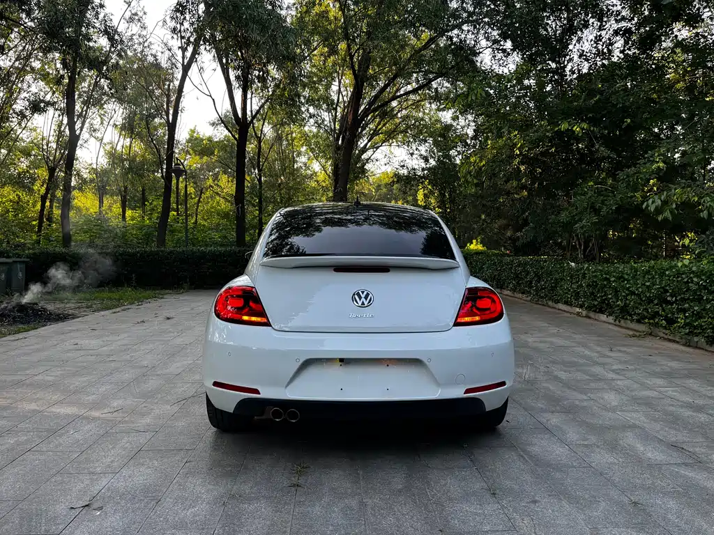 Beetle 280 TSI