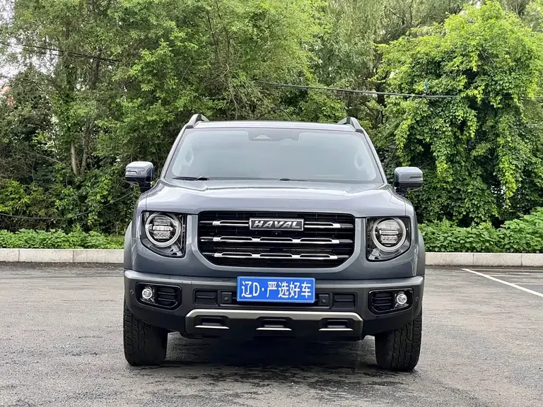Haval Dargo 2.0 T DCT 4 WD Howling Dog