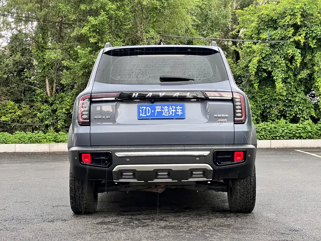 Haval Dargo 2.0 T DCT 4 WD Howling Dog