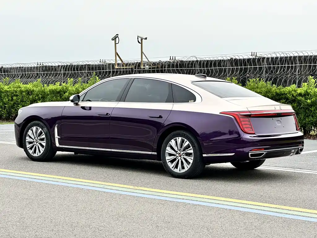 Hongqi H9 2.0 T Connected Flagship Joy