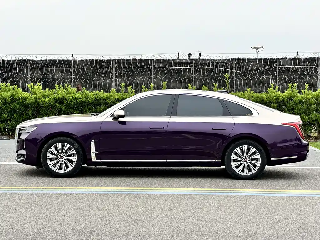 Hongqi H9 2.0 T Connected Flagship Joy