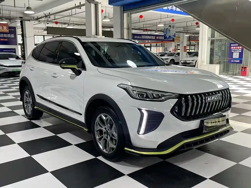 Haval Chitu Power Enjoyment 1.5 T Bronze Rabbit