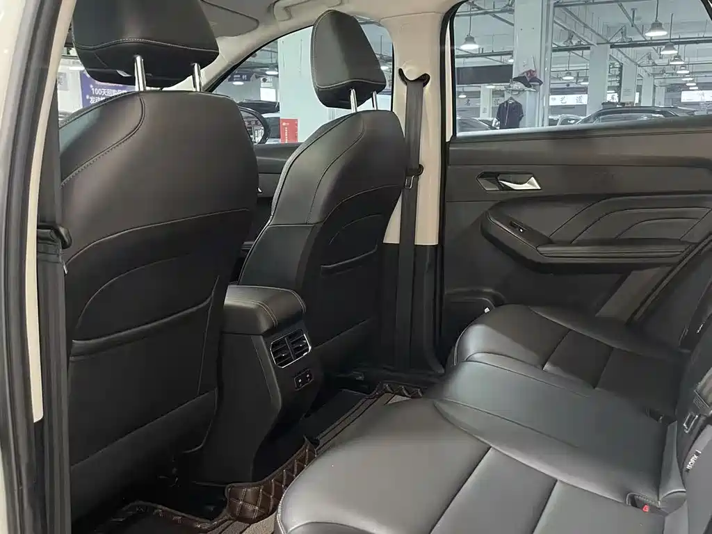 Haval Chitu Power Enjoyment 1.5 T Bronze Rabbit