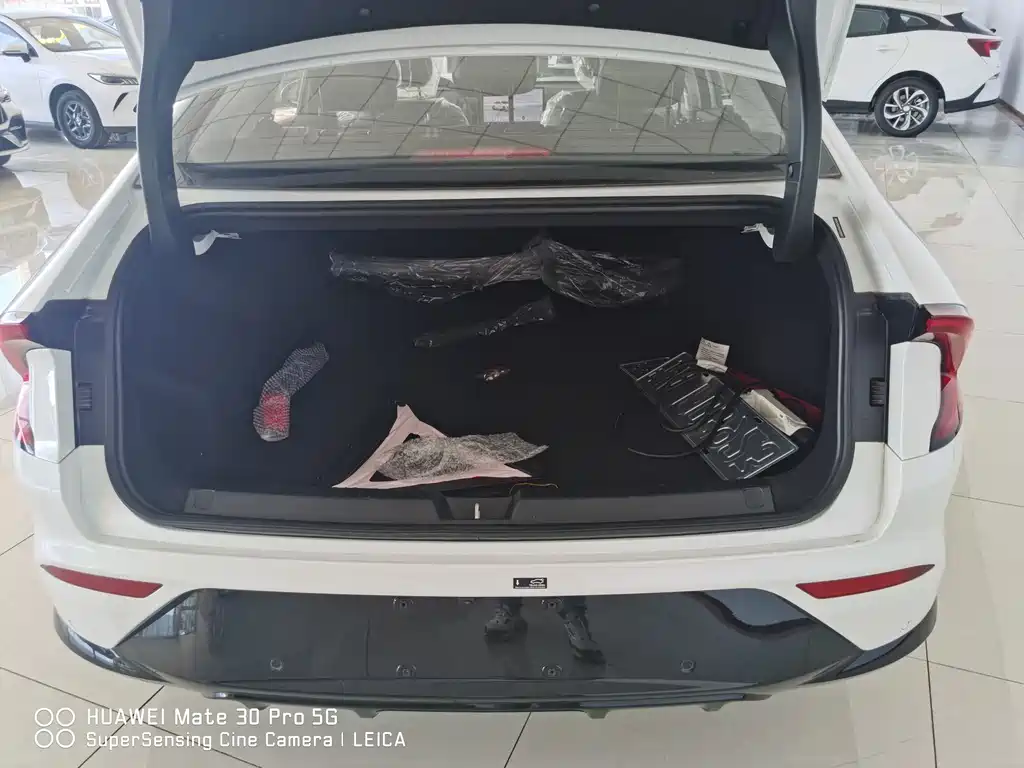Wuling Starlight 70 km Intelligent Standard