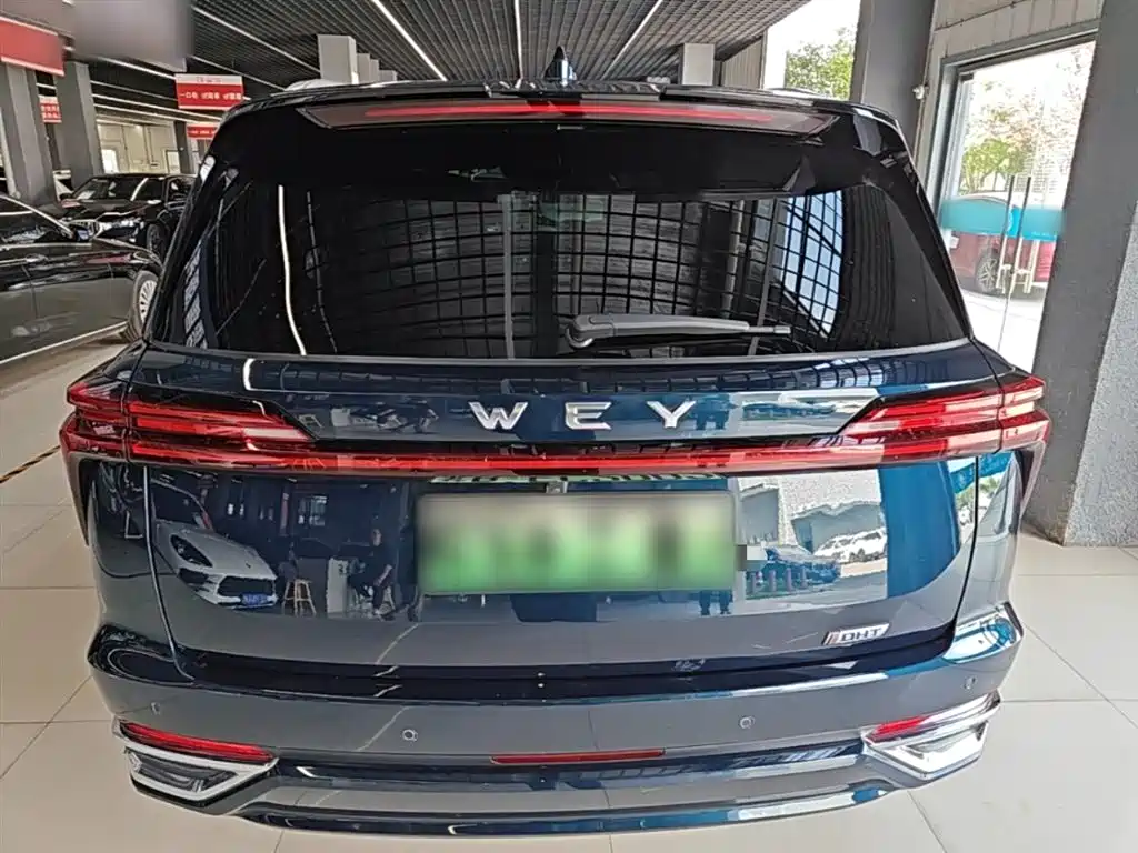 WEY Blue Mountain 4 WD Ultra Long Range