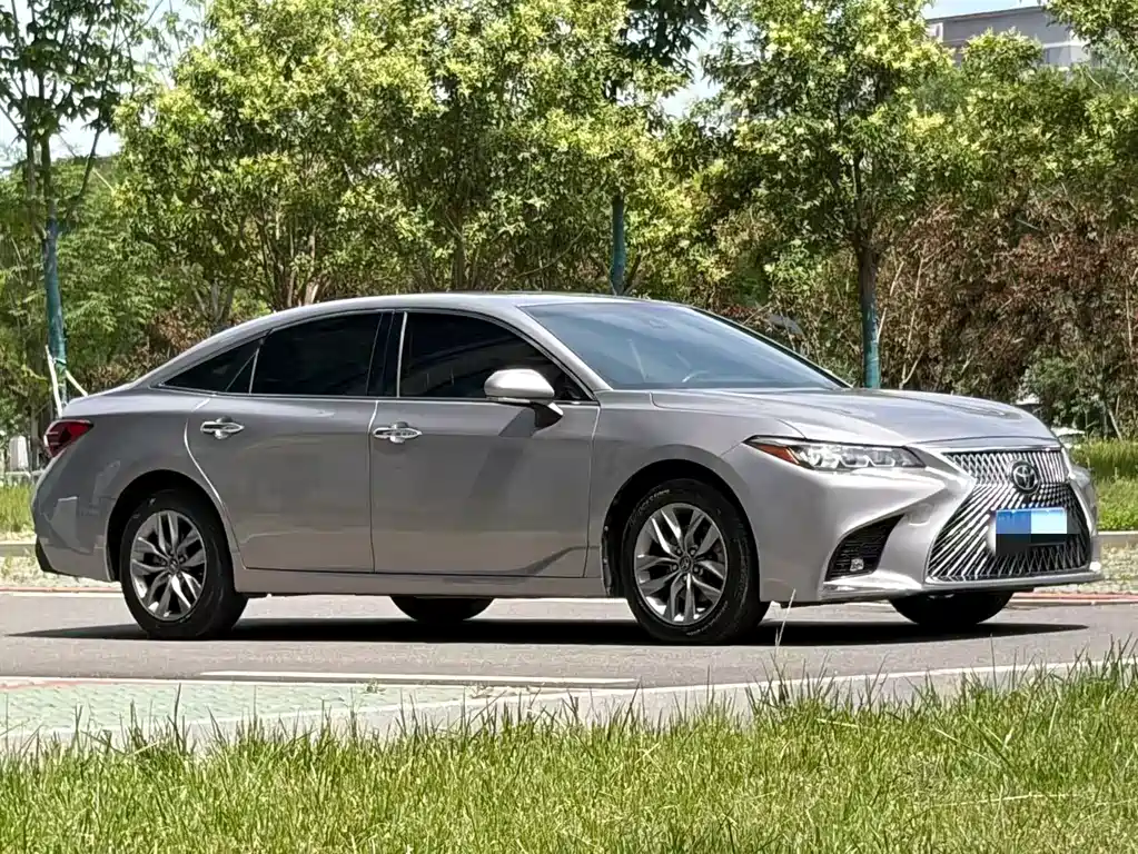 Avalon 2.0 L Luxury CN-VI