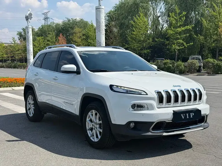 Jeep Cherokee 2.4 L Professional Intelligent