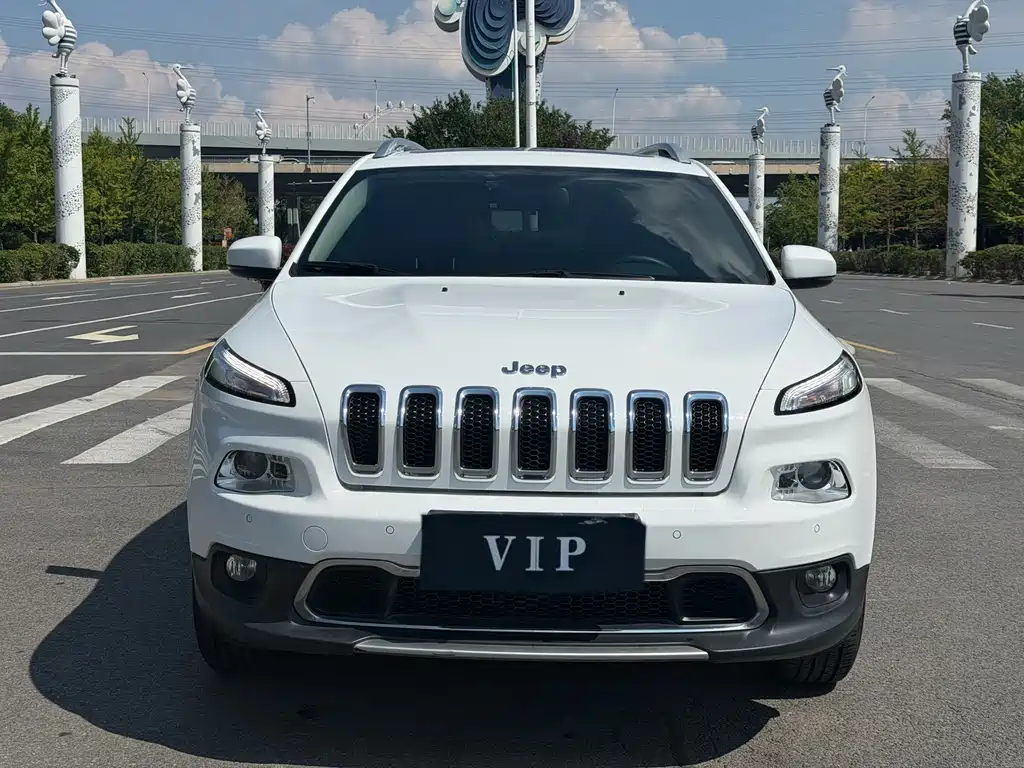 Cherokee 2.4 L Professional Intelligent