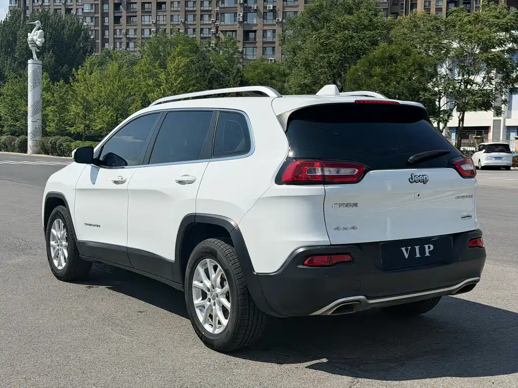 Cherokee 2.4 L Professional Intelligent