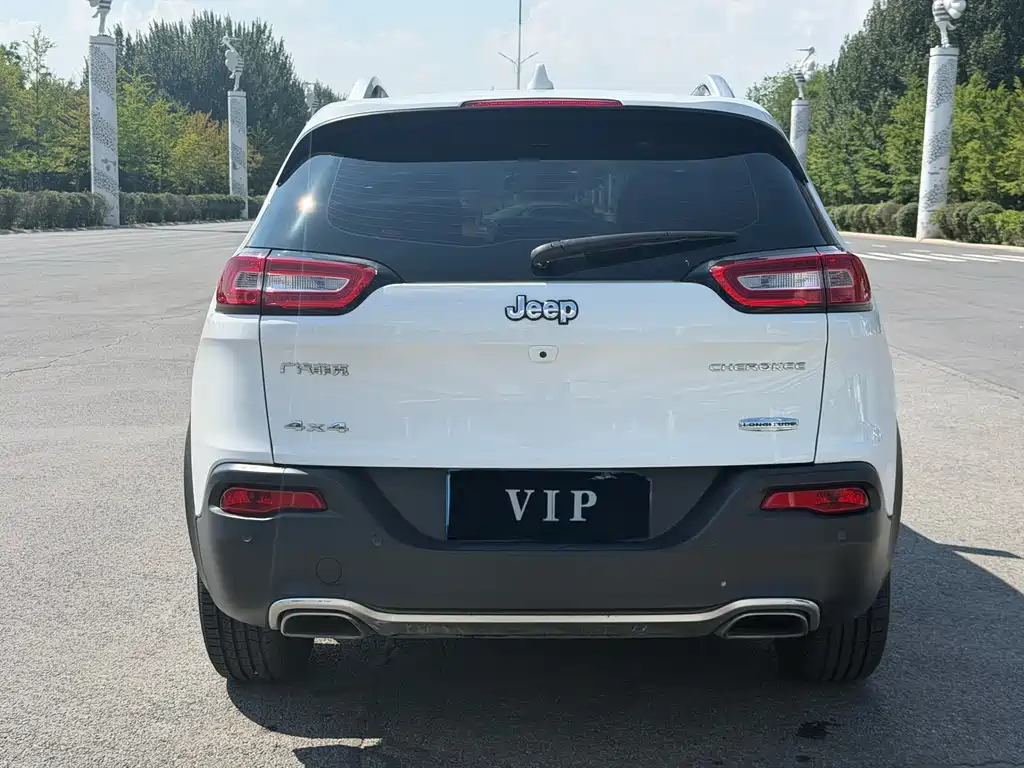 Cherokee 2.4 L Professional Intelligent