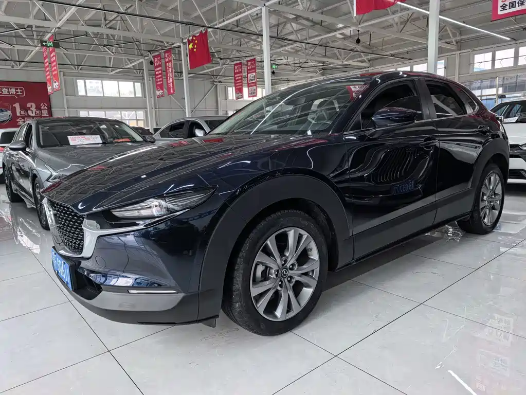 Mazda CX-30 2.0 L Auto Elegant Joy