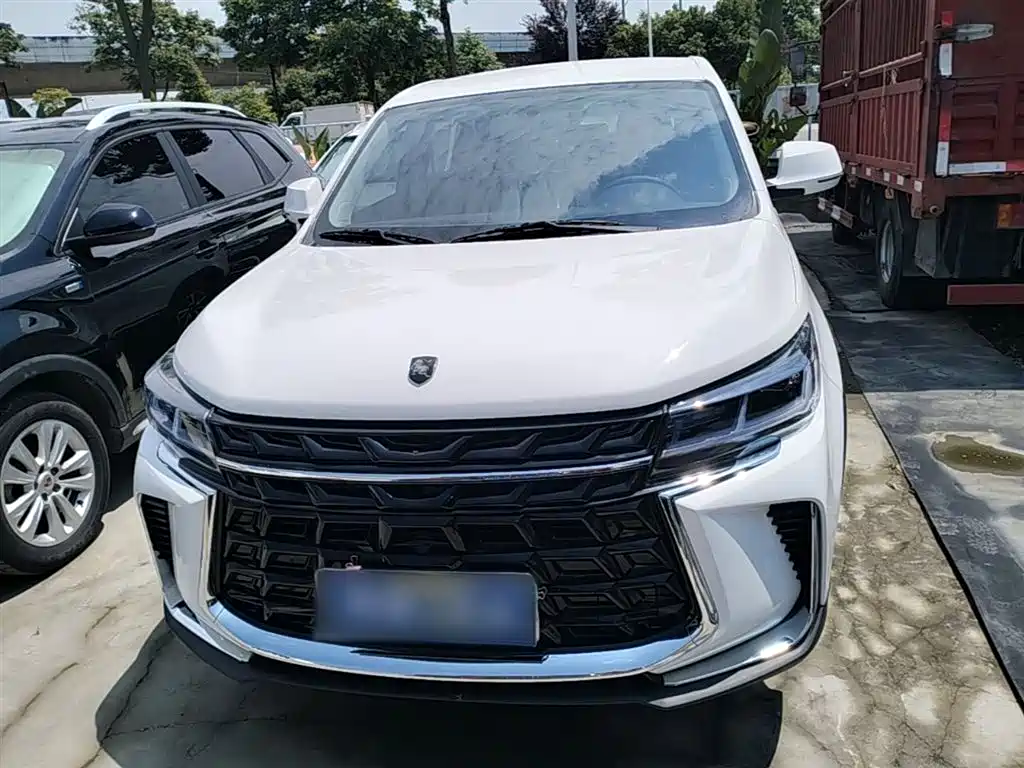Fengxing T5 风行T5 2024款 盛世款 1.6 L 手动筑梦版 五座