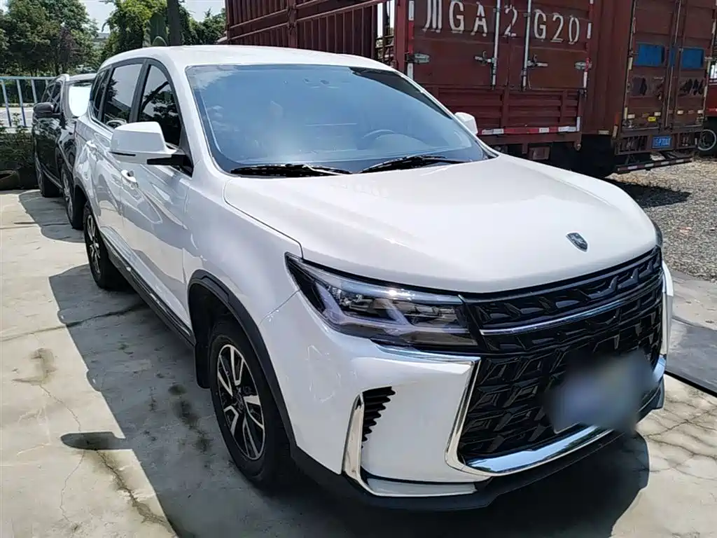 Fengxing T5 风行T5 2024款 盛世款 1.6 L 手动筑梦版 五座
