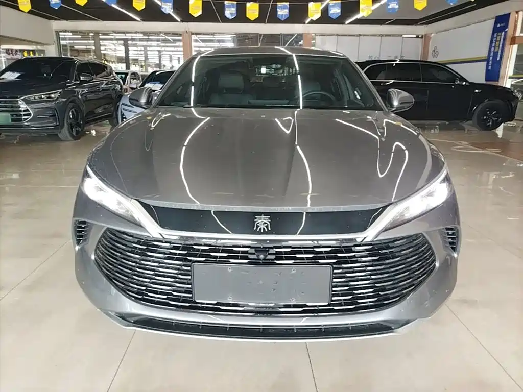 Qin L DM-i 80 KM Transcend
