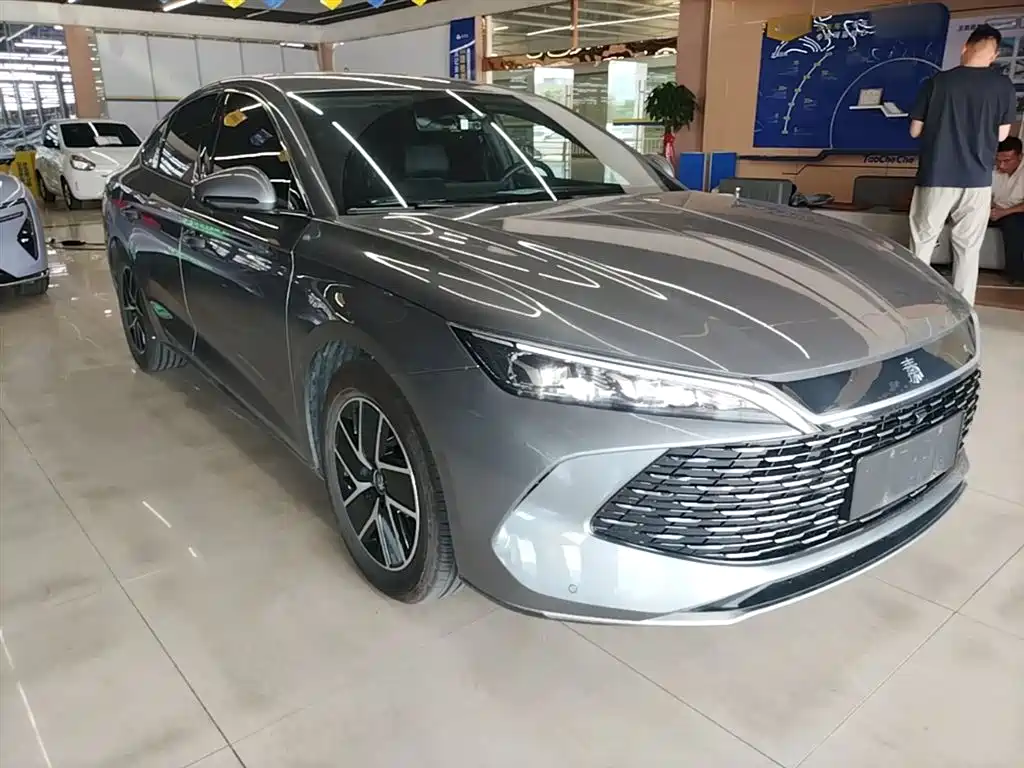 Qin L DM-i 80 KM Transcend