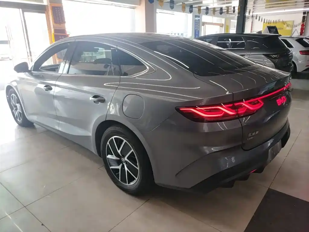 Qin L DM-i 80 KM Transcend
